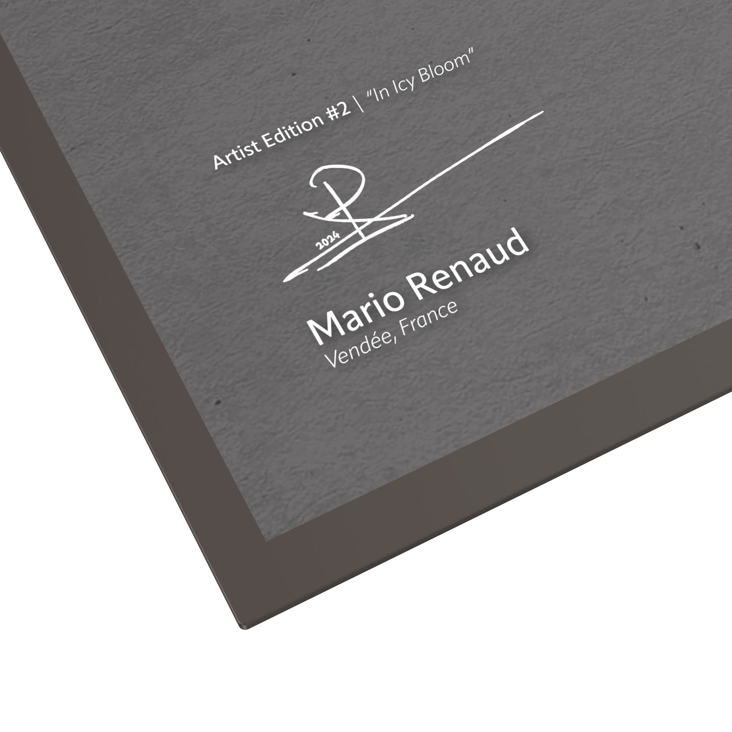 Ultimate Guard - Album´n´Case Artist Edition #2 - Mario Renaud: In Icy Bloom
